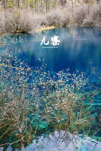 花20000元让孩子参加少儿春晚，结果只说了10个字，这是骗局吗？