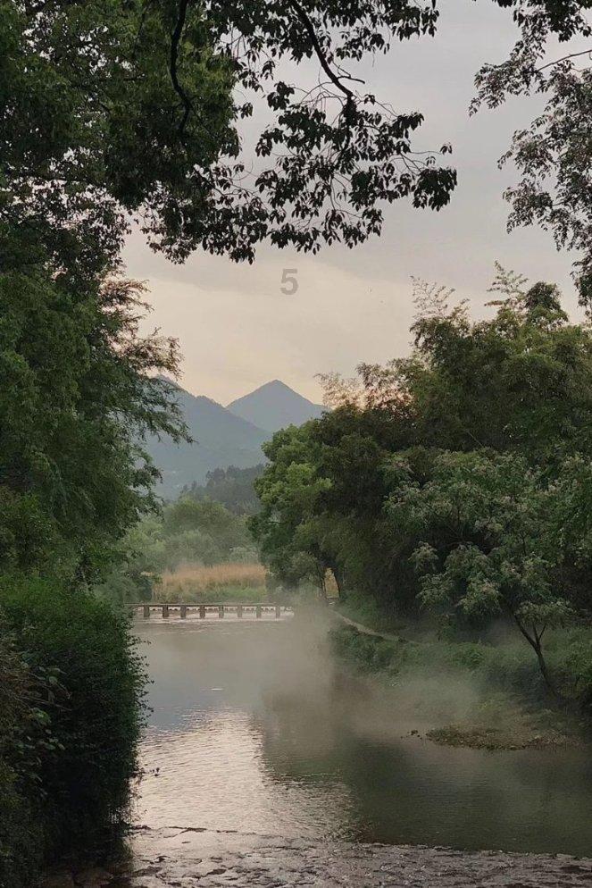 体育头图|卡塔尔淘汰巴勒斯坦晋级亚洲杯八强