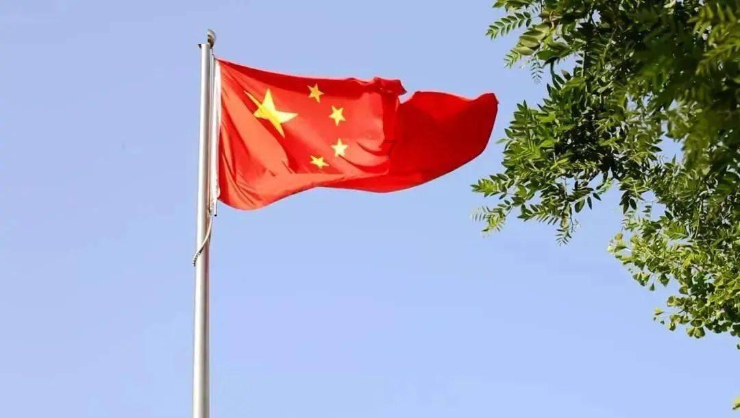 天气零下30多度，聪明流浪猫到消防局敲门求收留，顺利度过寒冬